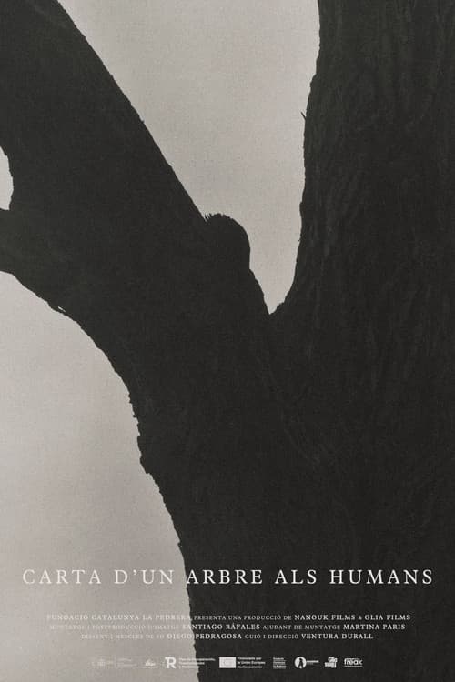 Carta d’un arbre als humans