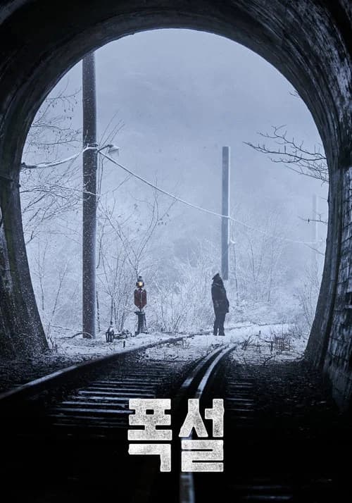 폭설