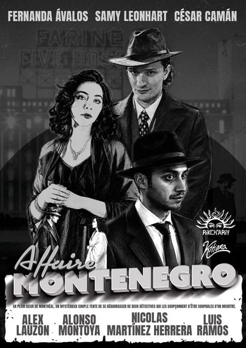 Affaire Montenegro
