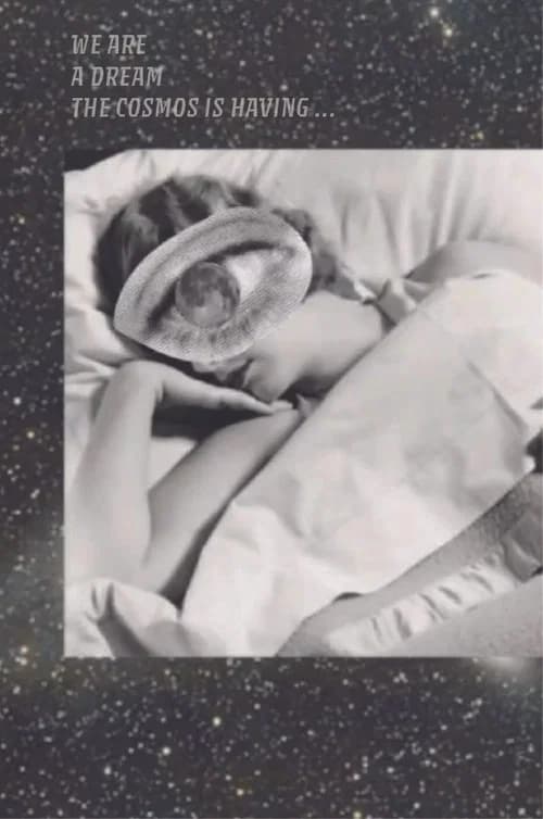We Are a Dream the Cosmos is Having