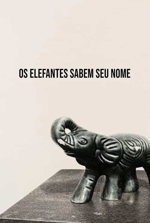 Os Elefantes Sabem Seu Nome