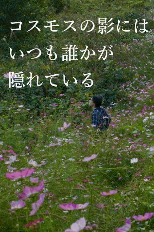 In the Shadow of the Cosmos Flowers
