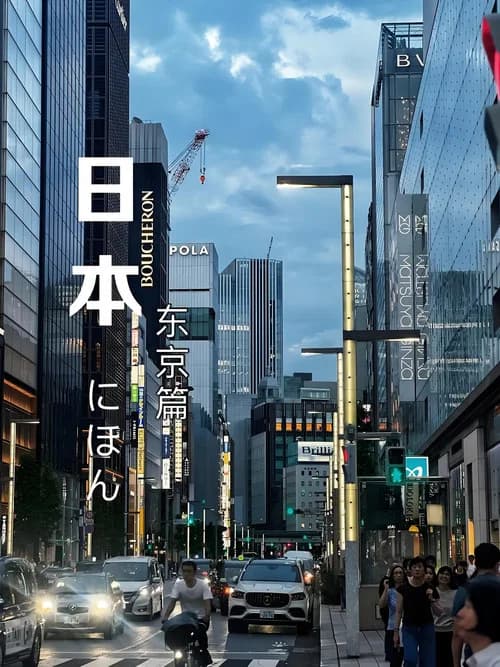 Lost in Tokyo