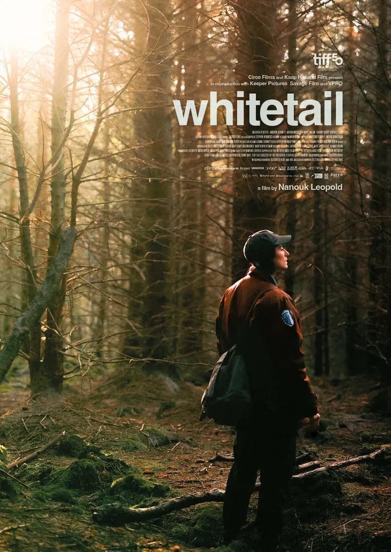 Whitetail