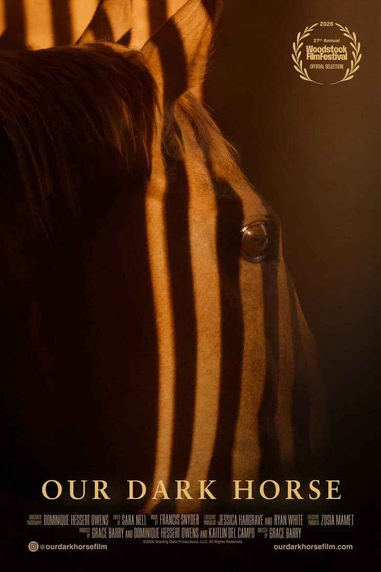 Our Dark Horse