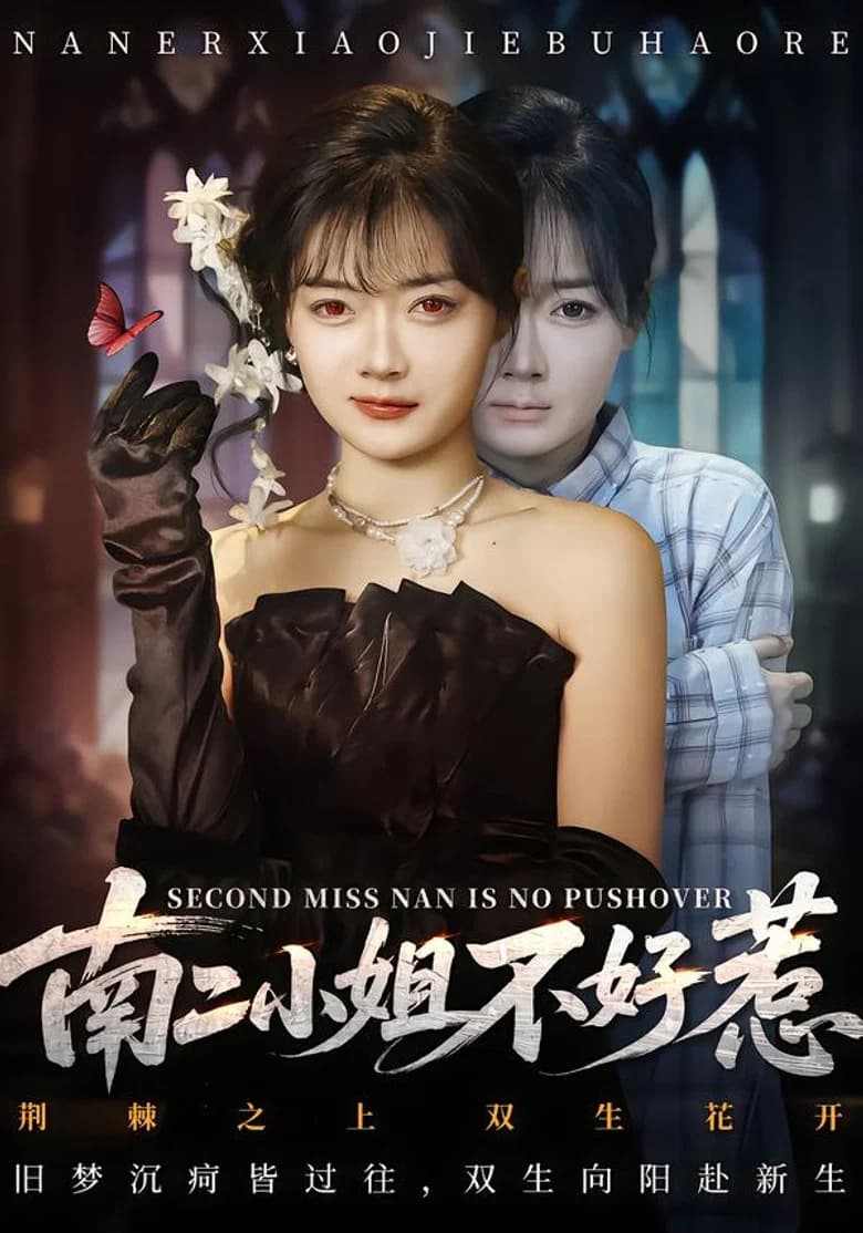 南二小姐不好惹
