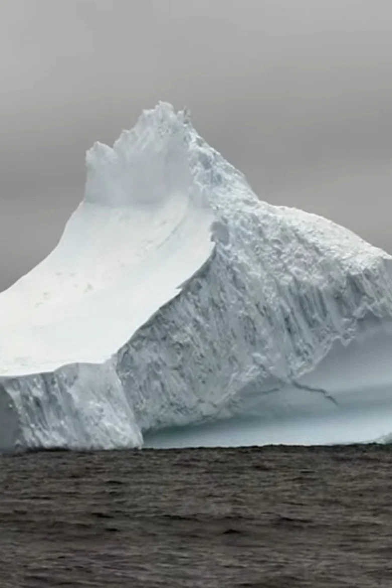 Geants de glace...à la dérive