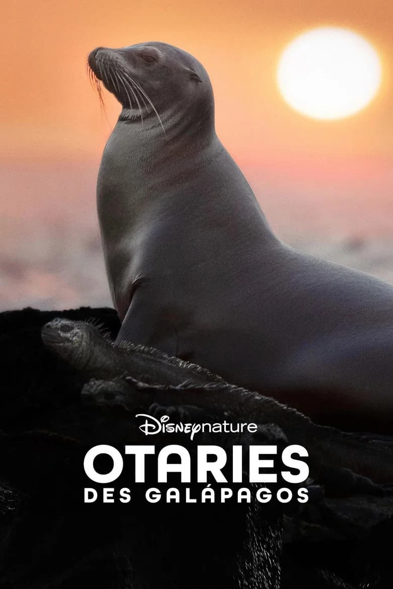 Sea Lions of the Galapagos