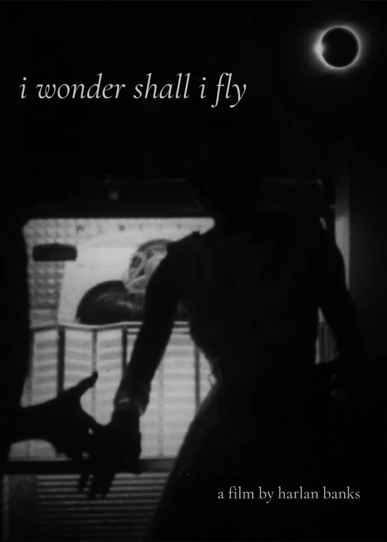 i wonder shall i fly