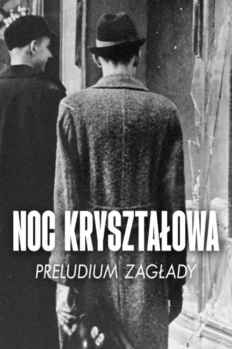 La nuit de cristal, les pogroms de novembre