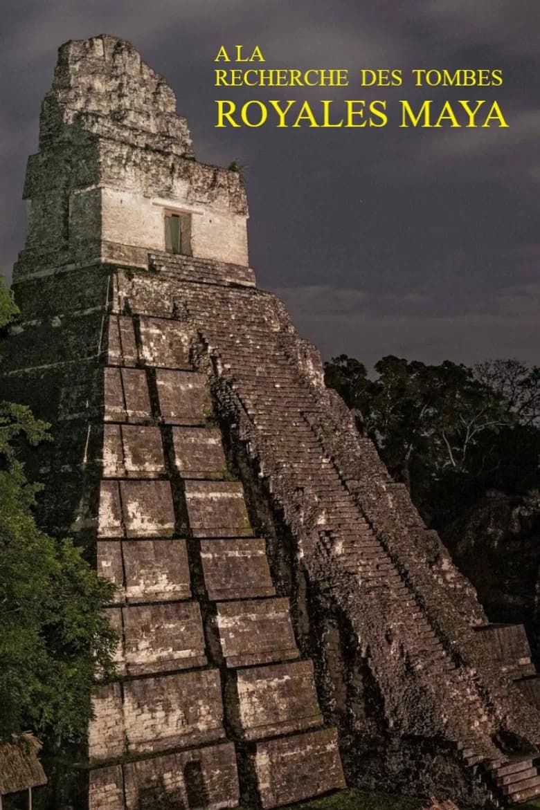 A la recherche des tombes royales mayas