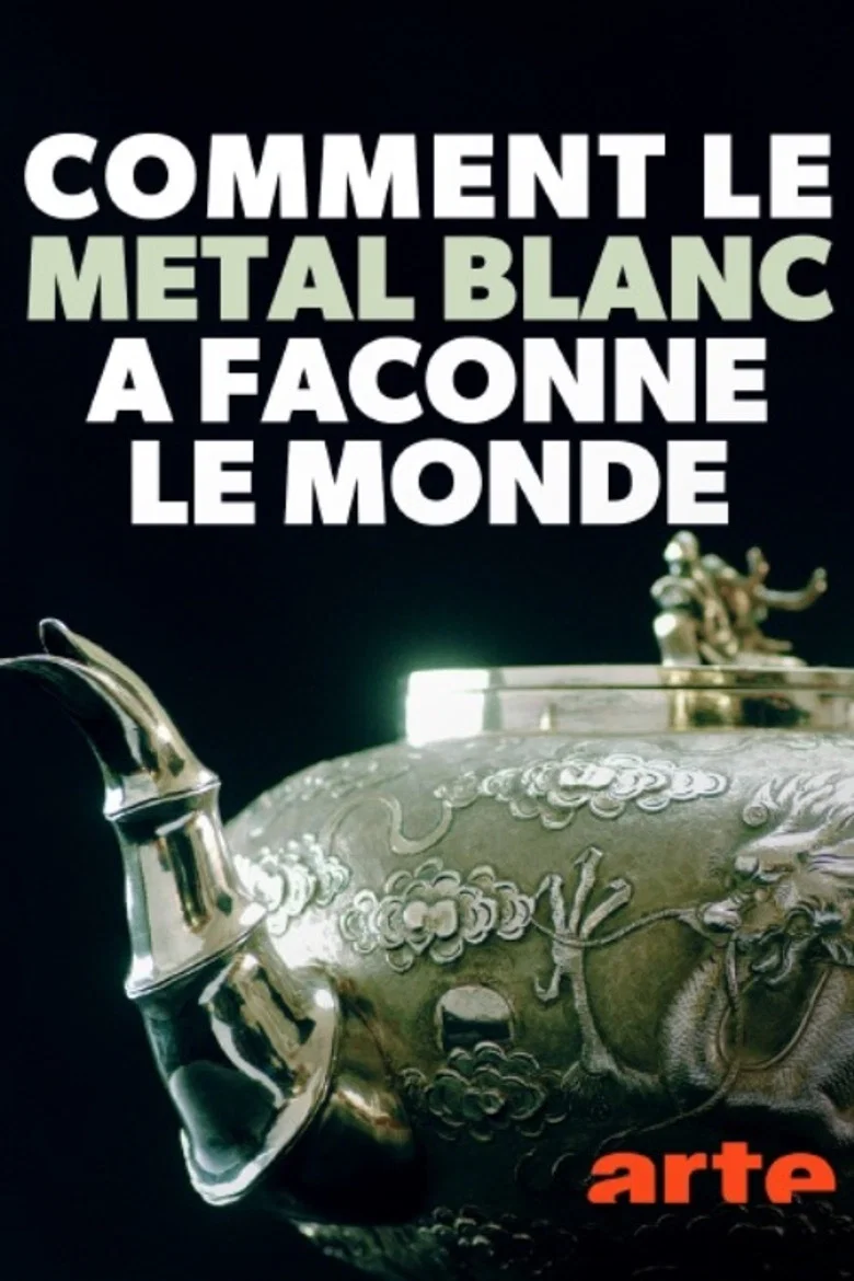 Comment le métal blanc a façonné le monde
