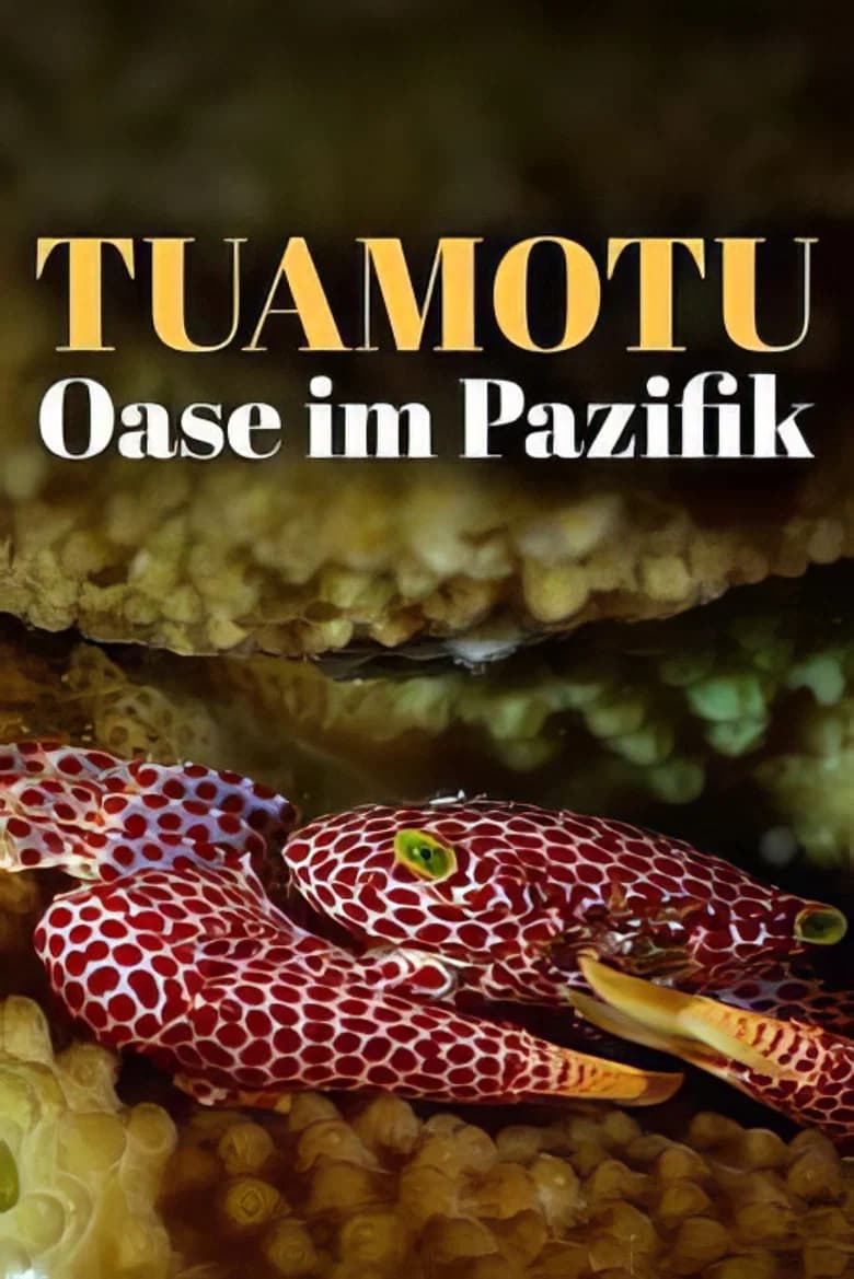 L'oasis de corail des Tuamotu