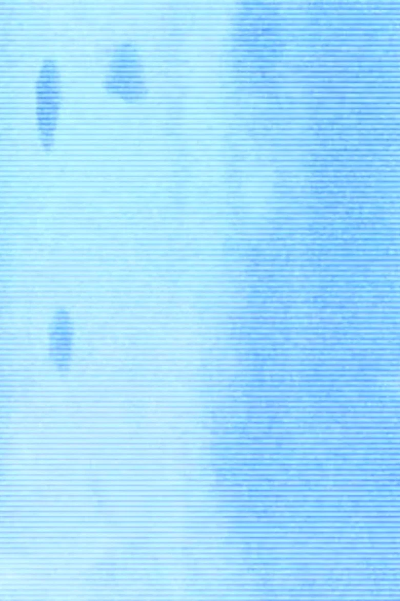 summer afternoon (hypnagogic decay)