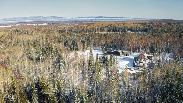 Familjen i skogen