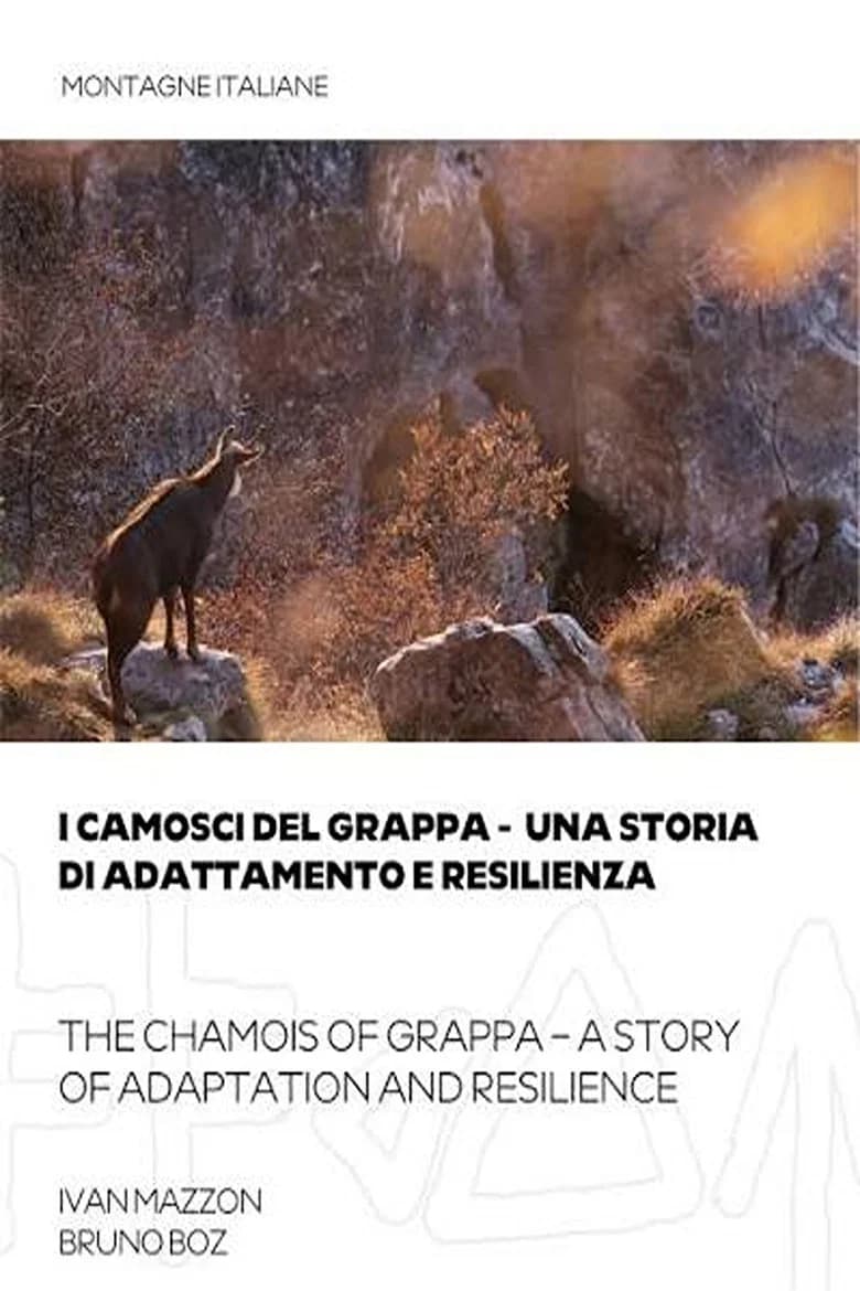 I camosci del grappa - una storia di adattamento e resilienza