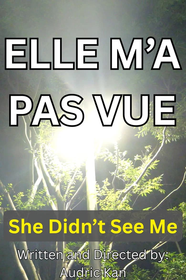 Elle M'a Pas Vue