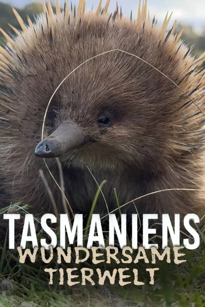 La Tasmanie sauvage