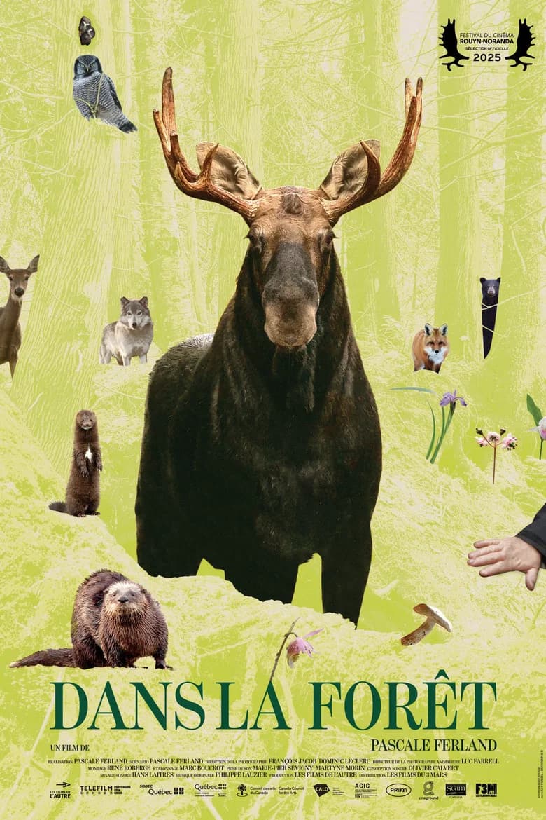 Dans la forêt