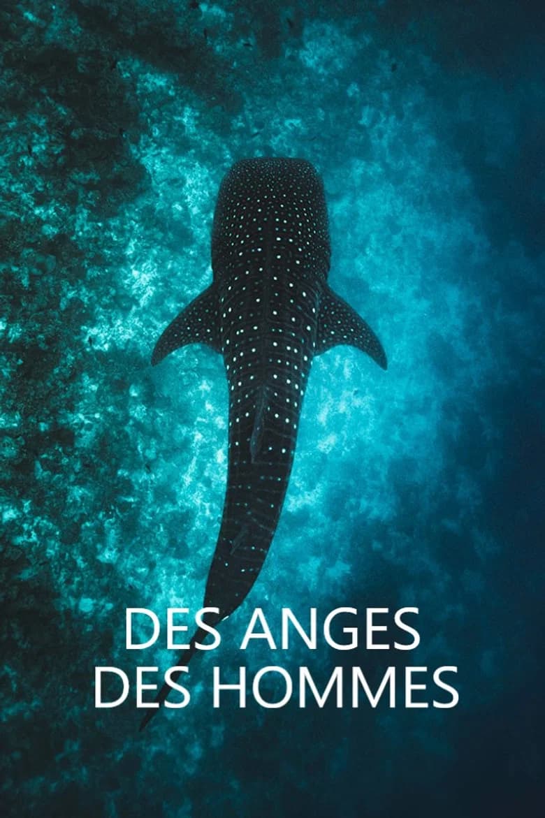Des anges des hommes