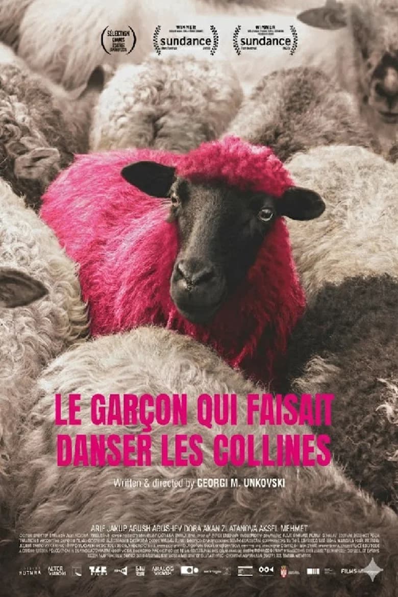 Le Garçon qui faisait danser les collines