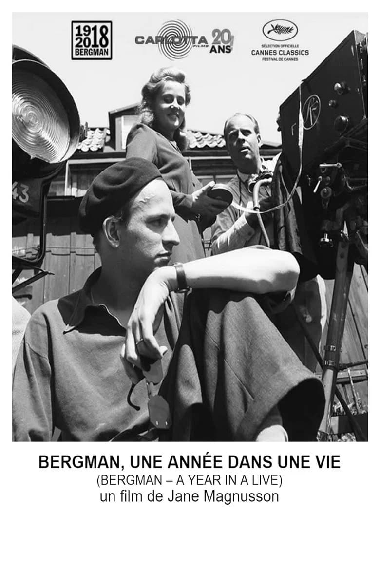 Bergman : une année dans une vie