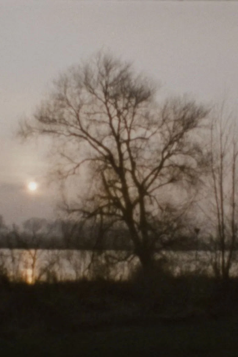 Landscape as Landscape - 27
