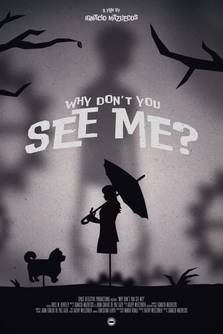 Why Don't You See Me?