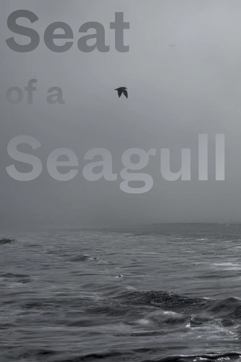 Seat of a Seagull