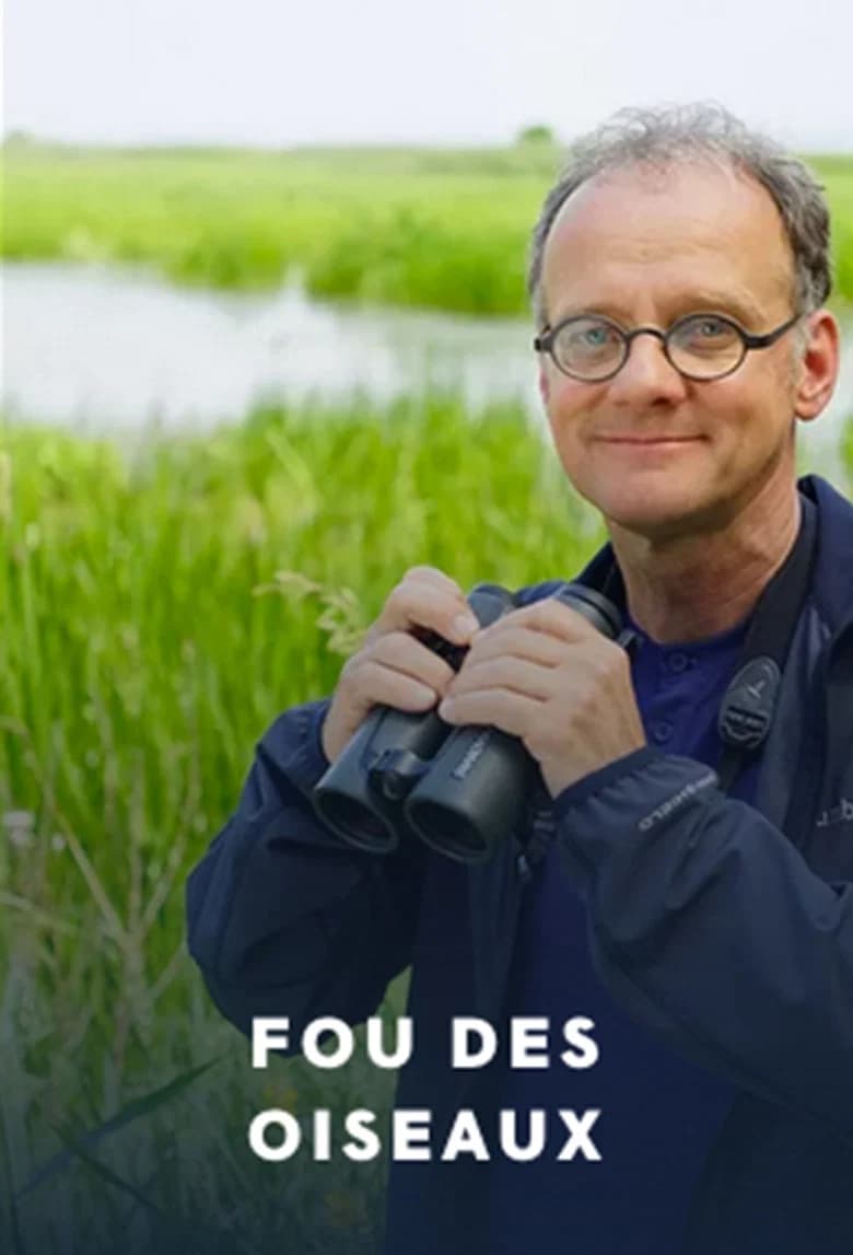 Fou des oiseaux
