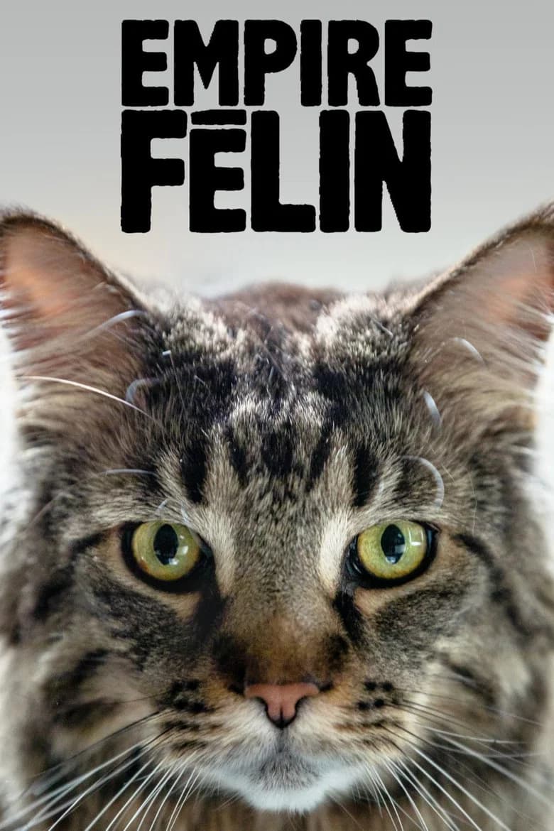 Empire Félin