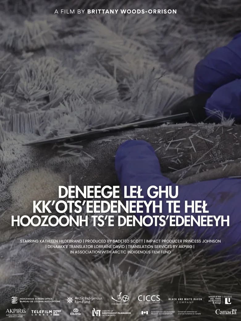 Deneege Leł Ghu Kk’ots’eedeneeyh Te Heł Hoozoonh Ts’e Denots’edeneeyh