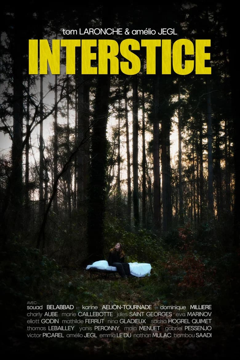 INTERSTICE