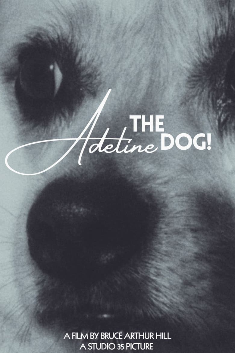 Adeline The Dog!