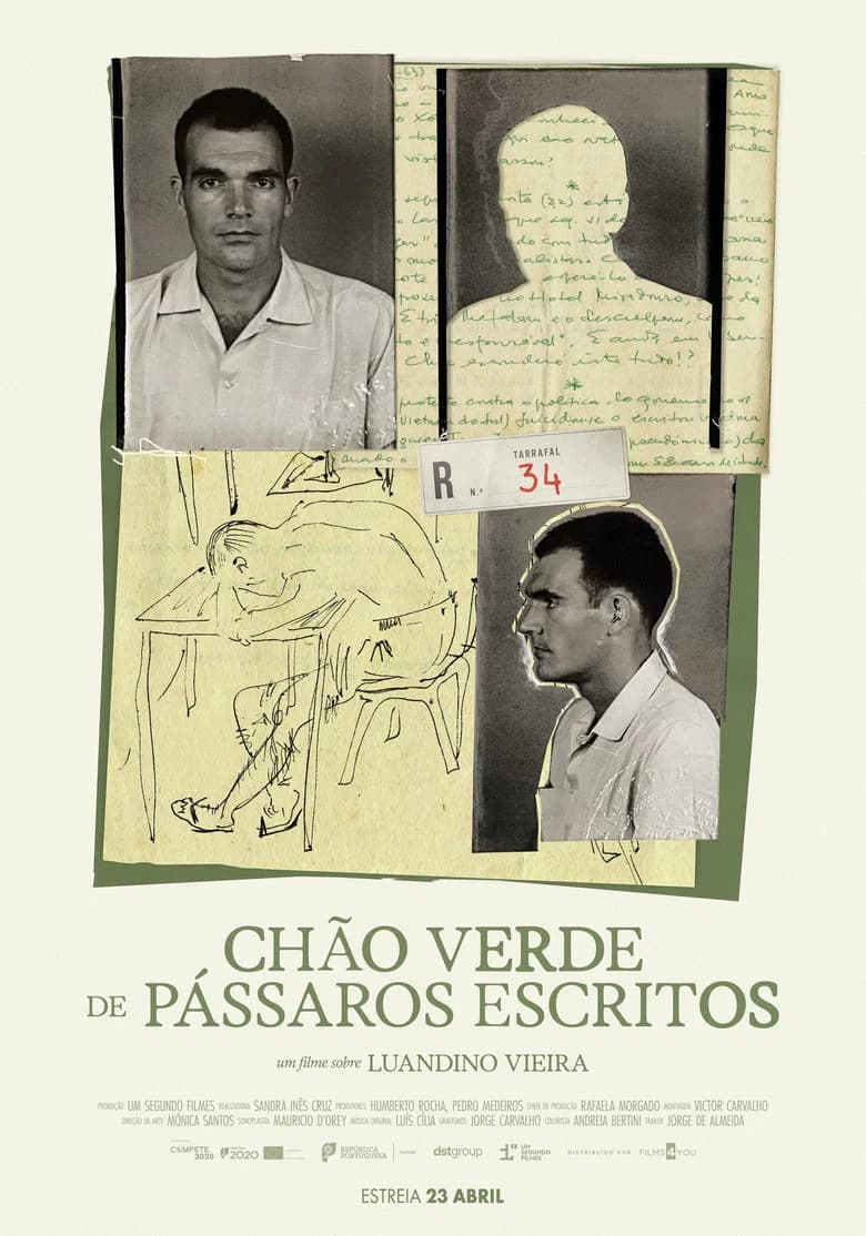 Chão Verde de Pássaros Escritos