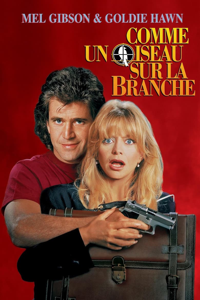 Comme un oiseau sur la branche