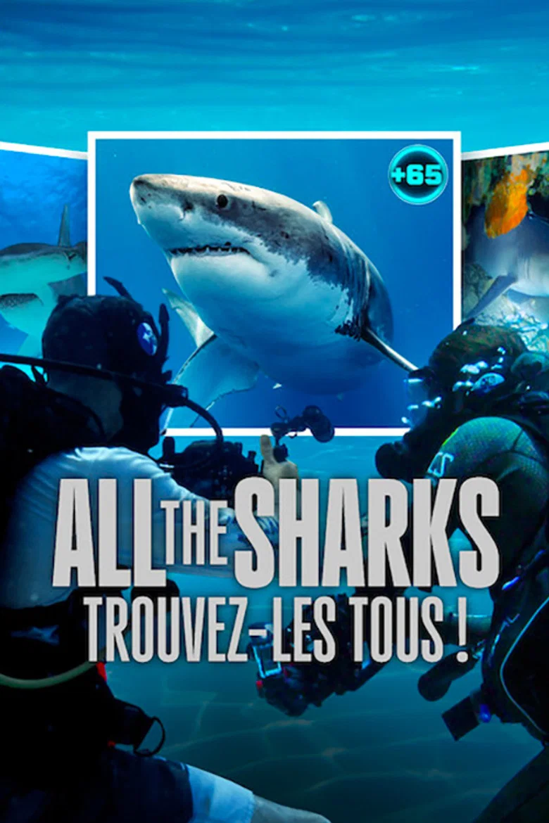 All the Sharks : Trouvez-les tous !
