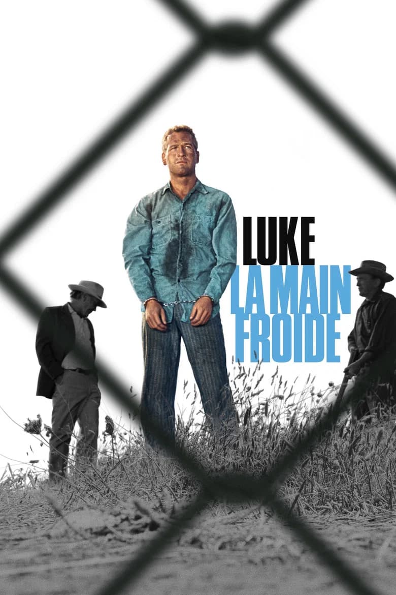 Luke la main froide