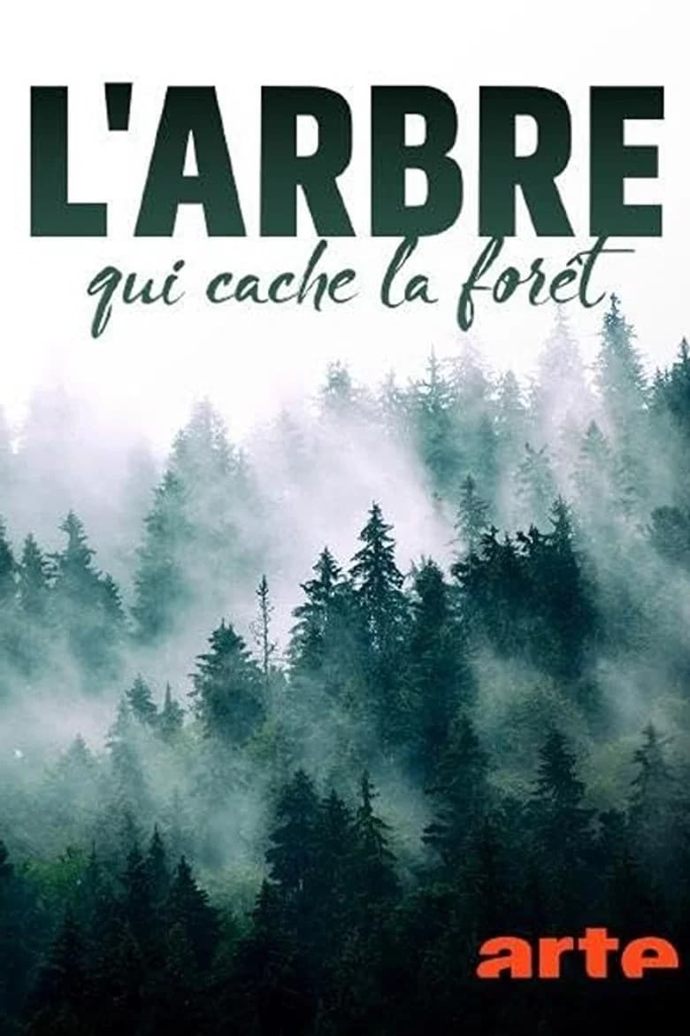 El mundo invisible de los bosques