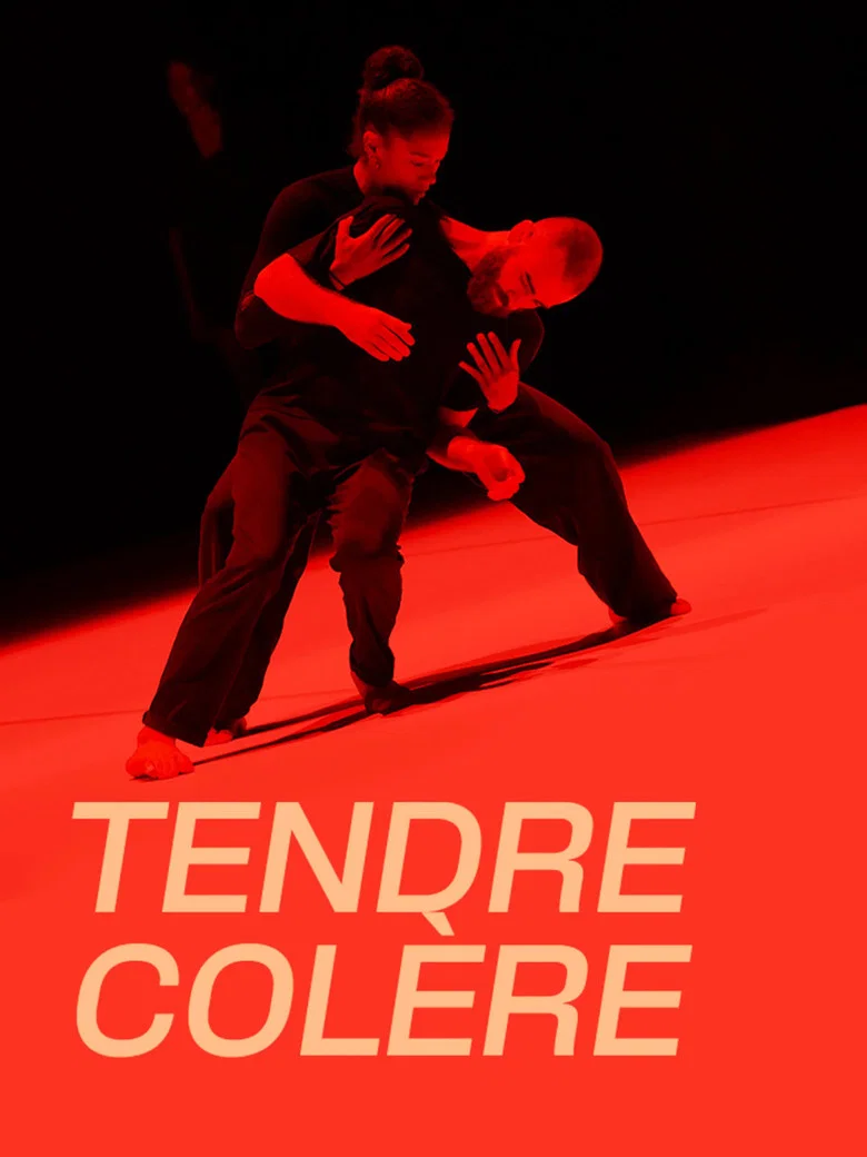 Suresnes cité danses, Tendre colère