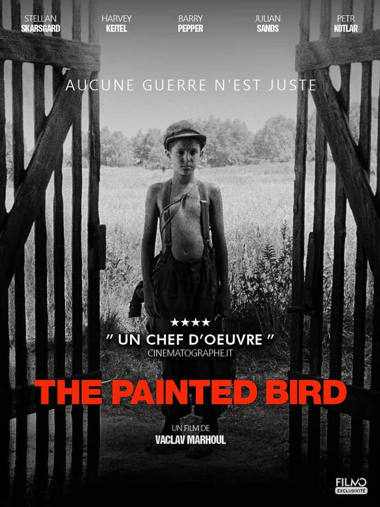 L'Oiseau bariolé