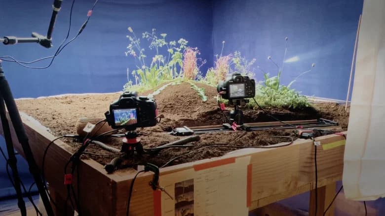 Making Planètes, l'art de façonner des mondes