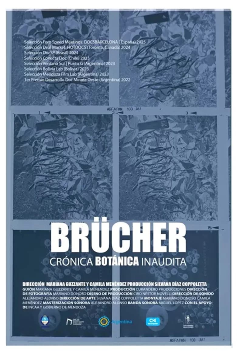 Brücher, Crónica Botánica Inaudita