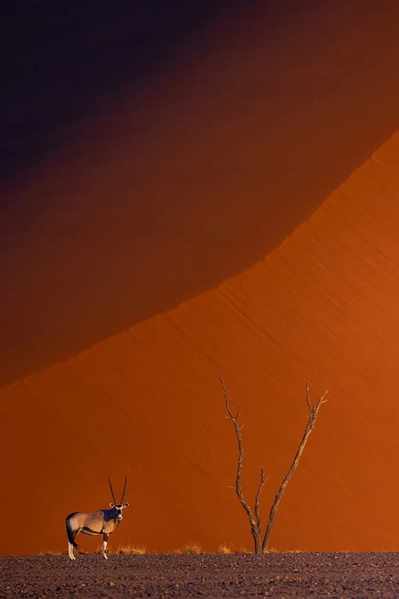 Namibie : exceptionnelle par nature