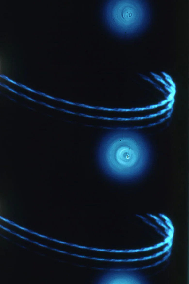 Pasteur³