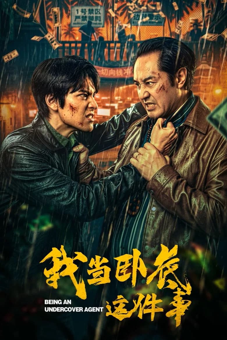 我当卧底这件事