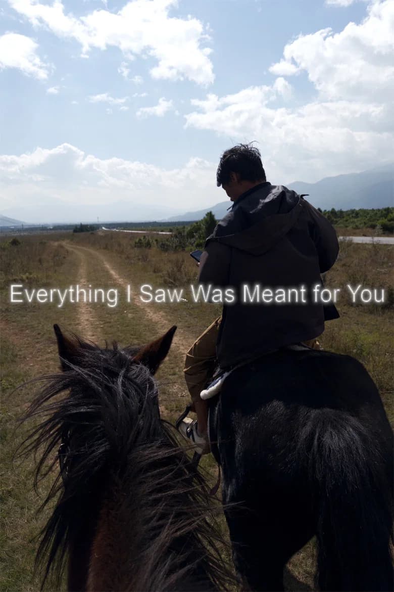 Everything I Saw Was Meant for You