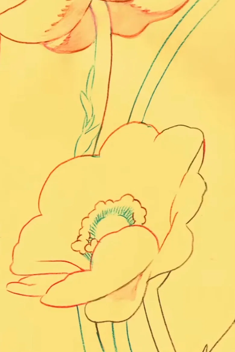 Airy Me