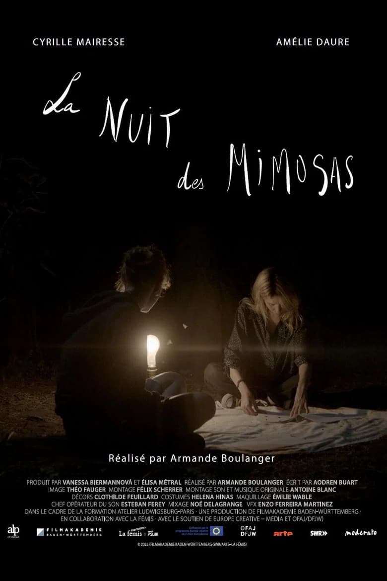 La nuit des mimosas
