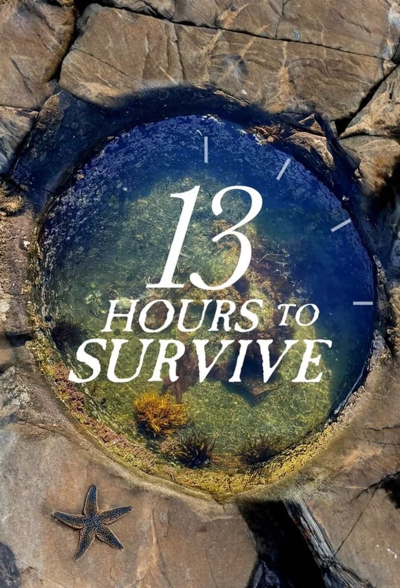 13 Hours To Survive